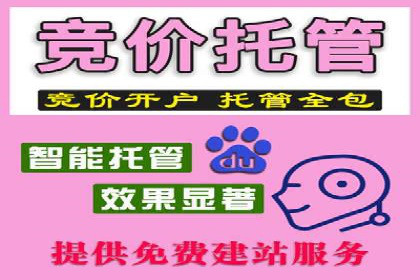 SEM竞价培训：实战案例深度解读